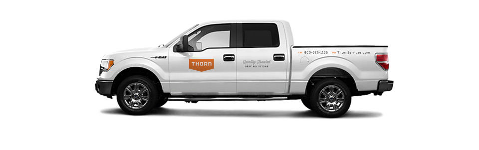 Thorn Pest Solutions Truck Wrap Design Sample