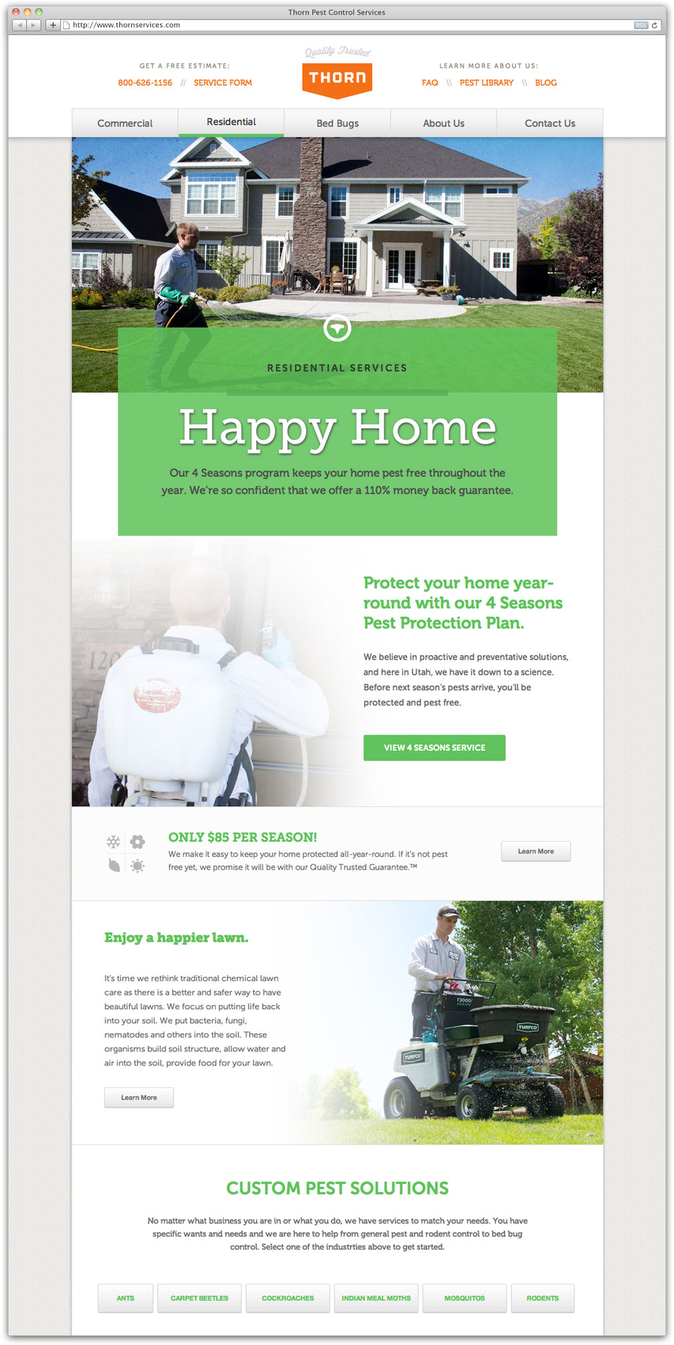 Thorn Pest Solutions Website Design Sample