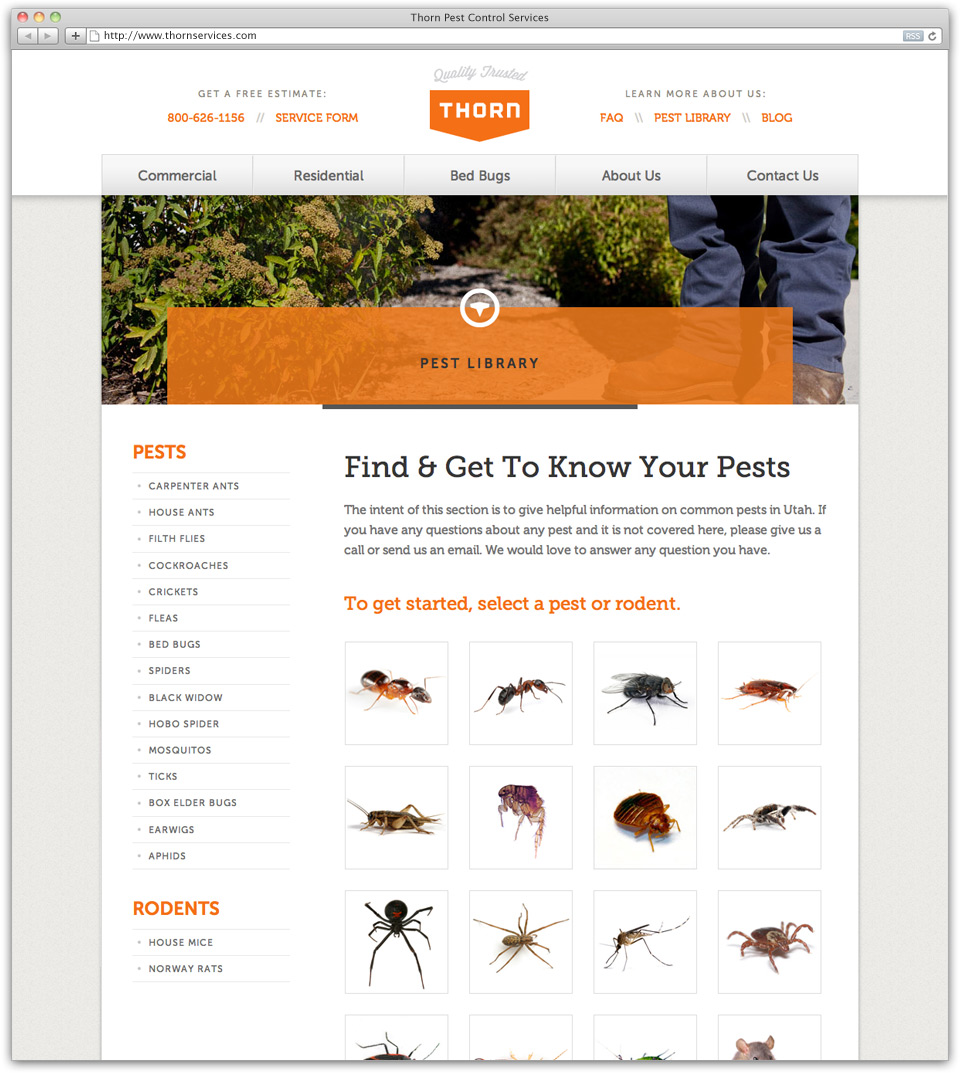 Thorn Pest Solutions Website Design Sample