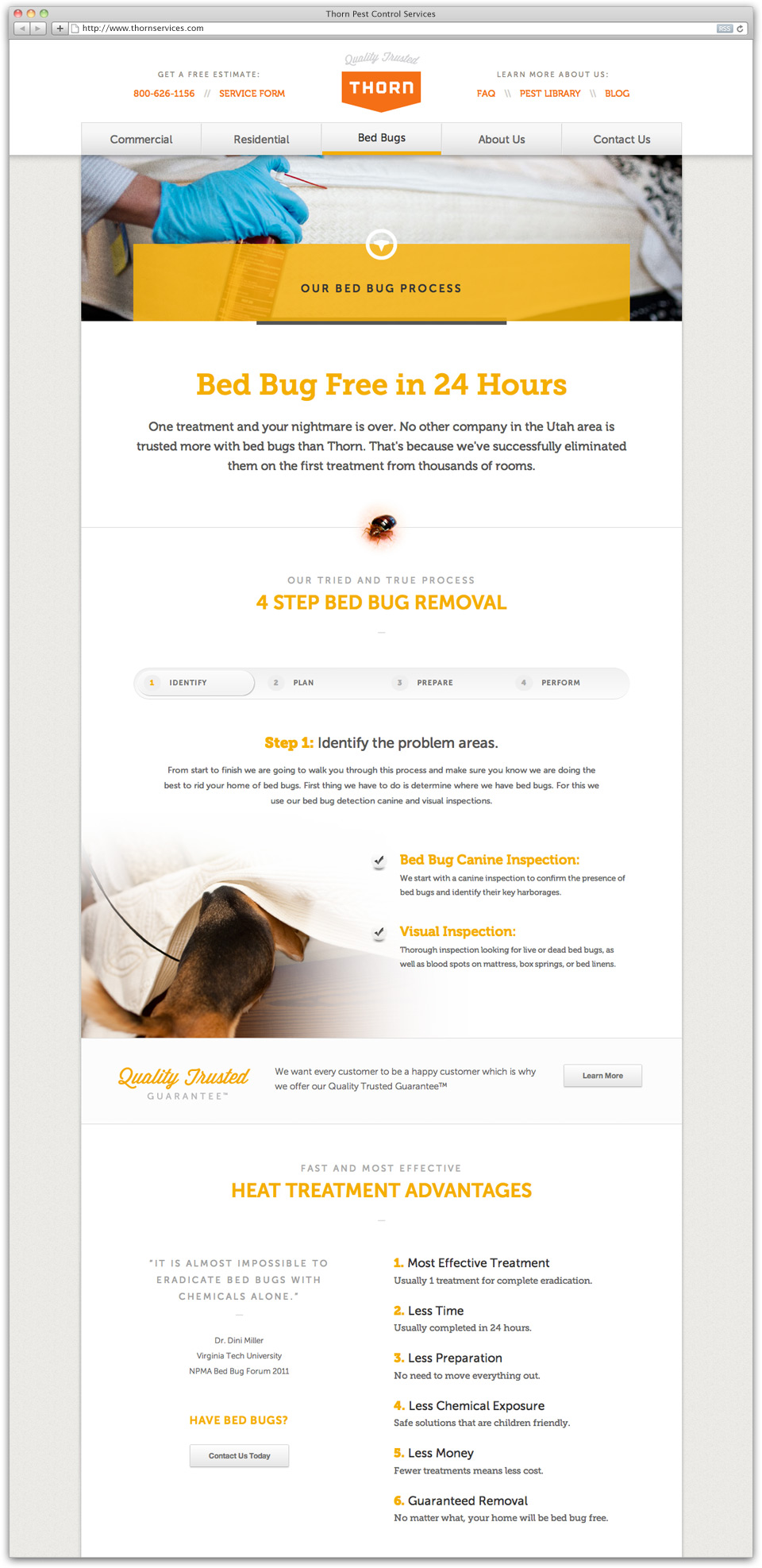 Thorn Pest Solutions Website Design Sample